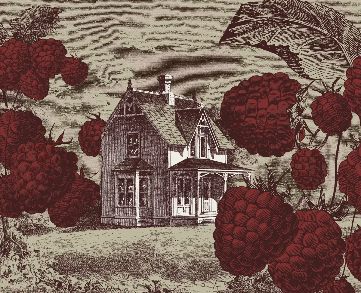 Varenye packaging, back